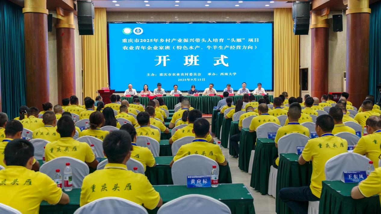 文件名称:image1.jpeg原图大小:NaNGB