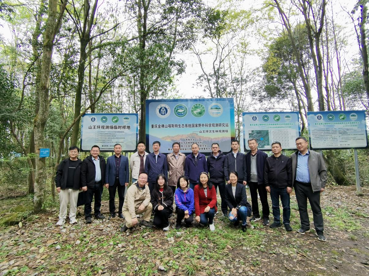 文件名称:image3.jpeg原图大小:NaNGB