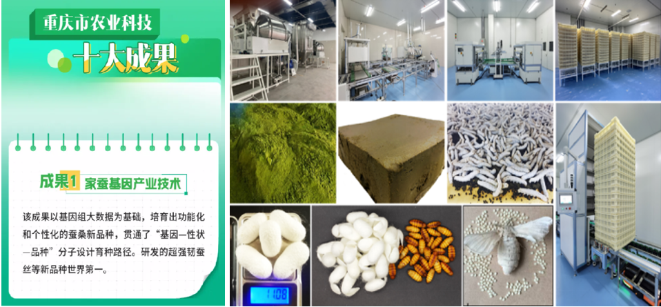 文件名称:image1.png原图大小:NaNGB