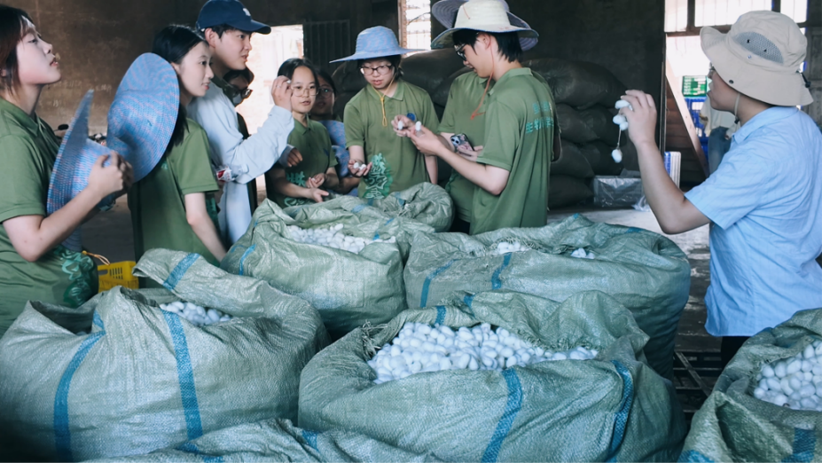 文件名称:蚕桑.png原图大小:0.84MB