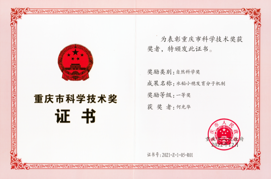 文件名称:image5.png原图大小:NaNGB