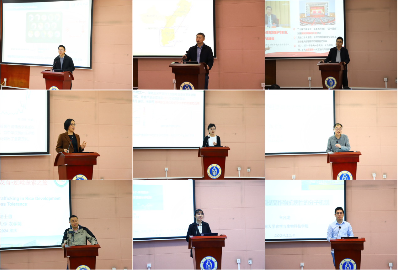 文件名称:image6.png原图大小:NaNGB